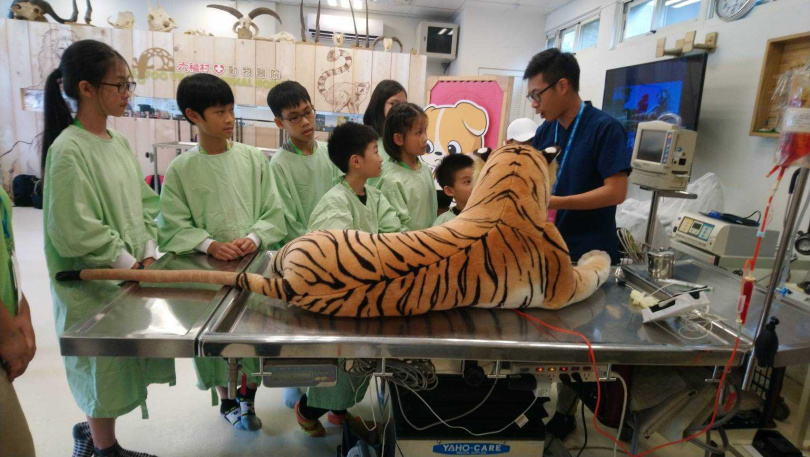 由六福村野生動物園最專業的動物醫師、營養師和動物保育員們帶小朋友走進動物的世界。