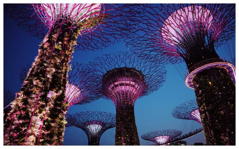 新加坡必遊景點、位在位在濱海灣公園內的「天空樹Supertree Grove」（圖／晶華酒店提供）