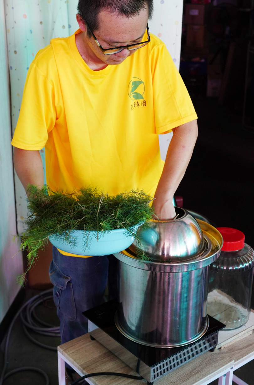 當遊客透過小組活動將澳洲茶樹重新整理與秤重後，農場人員會協助進行精油萃取。（圖／魏妤靜攝）