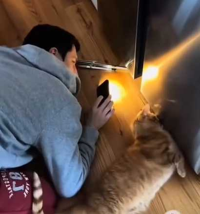 天才貓咪影片大合輯。（圖／翻攝自臉書）