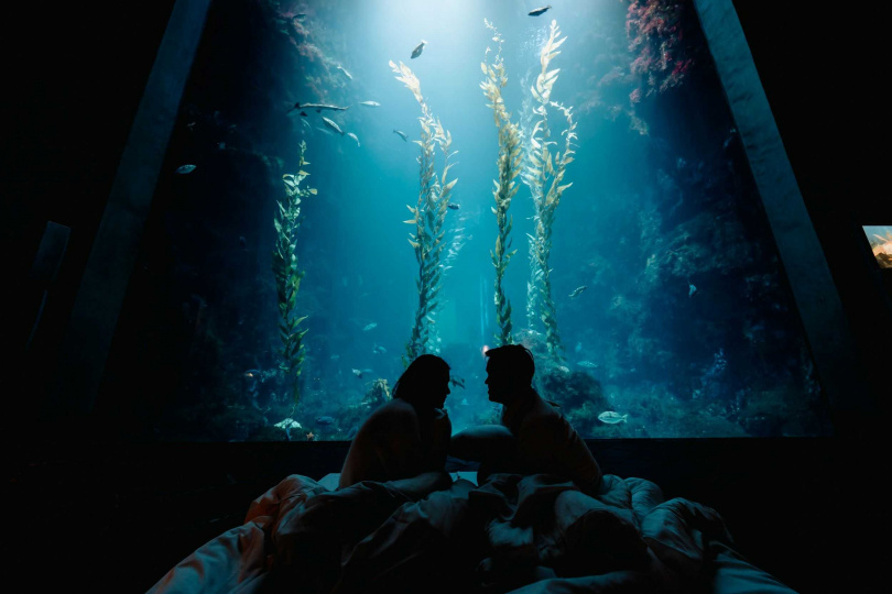 「夜宿海生館」是情侶與親子們最愛的體驗之一。（圖／屏東海生館提供）