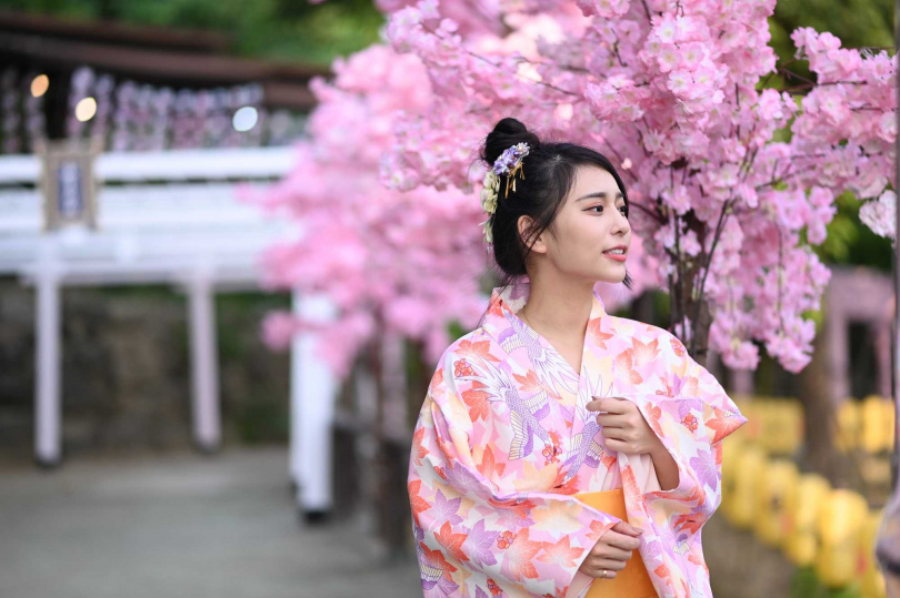 來到全新開幕的「千野村日式景觀餐廳」，旅客可穿著和服漫步在櫻花步道下。