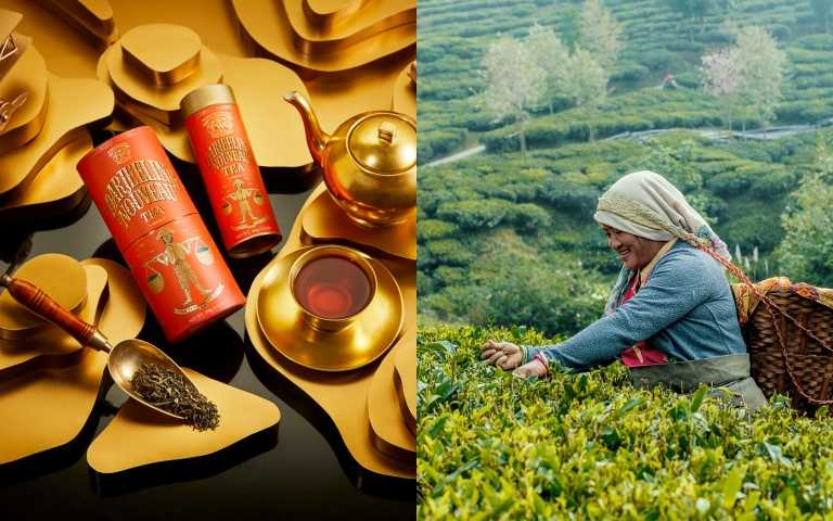 TWG Tea 初摘大吉嶺茗茶（圖／品牌提供）