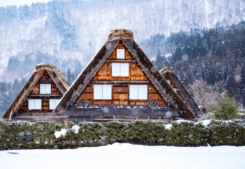 （圖／業者提供）