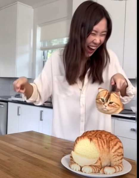 橘貓見同袍貓頭落地，嚇壞了。（圖／翻攝自臉書）