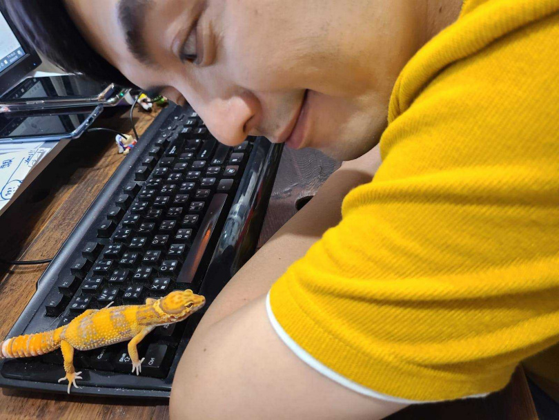 守宮雖然不像貓狗互動明顯，但待在鍵盤旁邊陪著黃子佼工作也讓他感覺愉悅。（圖／截自黃子佼臉書）
