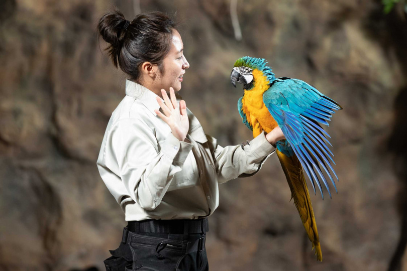 「探索秘境叢林」於美國大西部鳥禽方舟探索館上演。圖 六福村提供