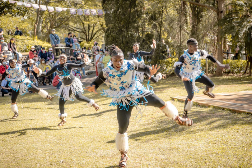 來自烏干達原汁原味的「非洲部落歌舞秀」(週一停演)。圖 六福村提供