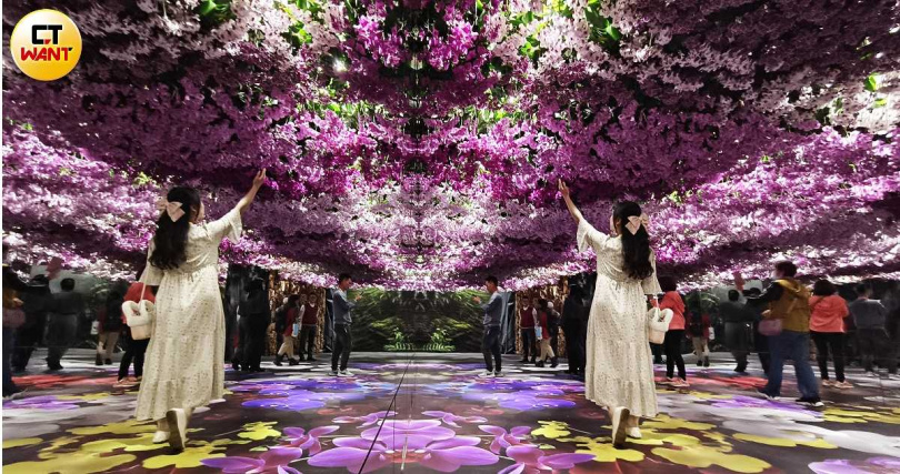 蘭展主題館透過鏡面與蘭花造景打造無限延伸的空間。(圖/魏妤靜攝)