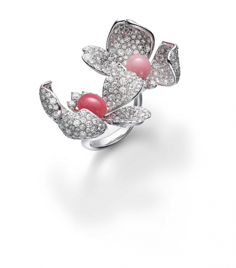 （圖／品牌提供）