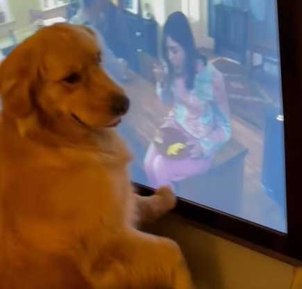 阿金看著電視螢幕裡的歐姆蛋流口水。（圖／翻攝自臉書）