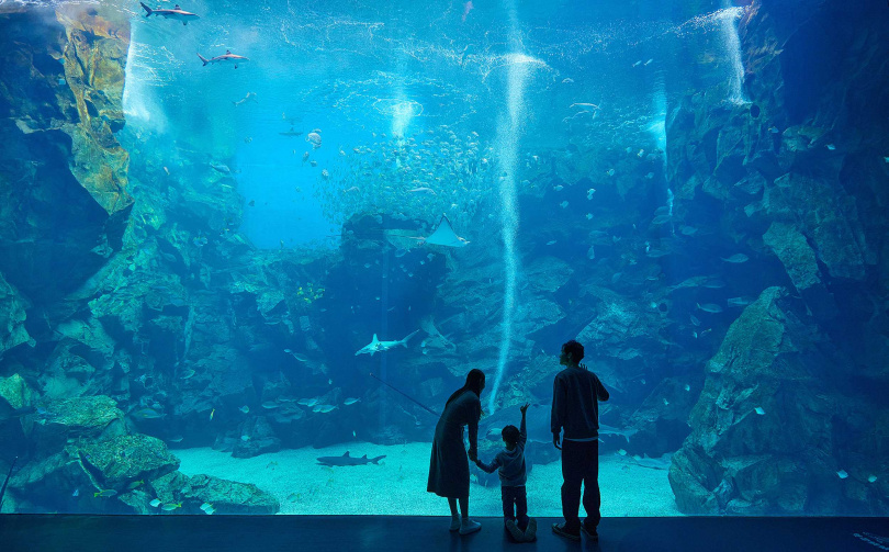 Xpark以「透過生物帶給世界笑容與感動」，結合「寓教於樂 Edutainment」概念的樂趣和學習，提供大家全新水族館體驗。