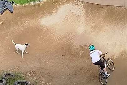 托馬斯帶著狗狗一起訓練。(圖/翻攝自臉書)