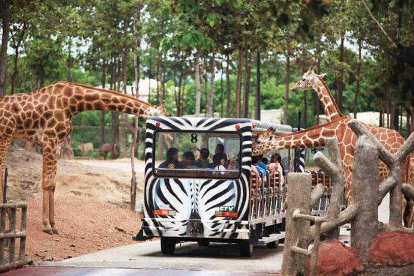 清邁動物園行程可以觀賞許多野生動物，適合親子族群。（圖／KKday提供）