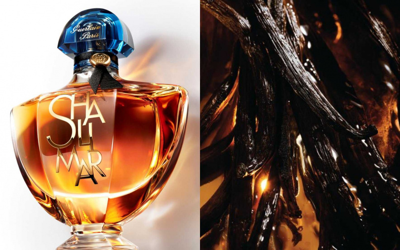 嬌蘭一千零一夜 一百周年限定精萃淡香精30ml／3,550元、90ml／6,710元（圖／品牌提供）