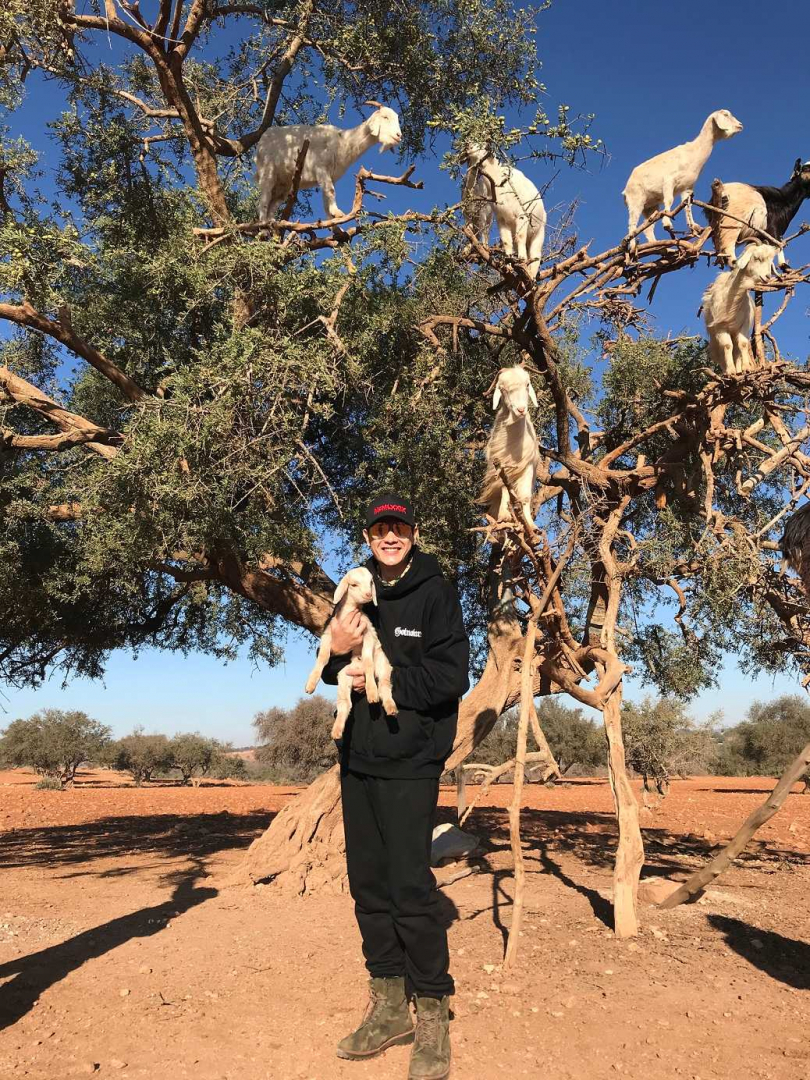 北非摩洛哥羊會上樹，張勛傑驚訝見世界奇觀。（圖／八大電視提供）