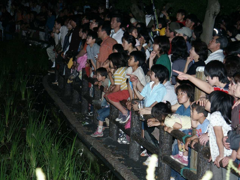 福生螢火蟲祭活動豐富，不論是親子同遊、情侶約會或是一人獨旅，都能留下難忘回憶。（圖／福生市生活環境部提供）