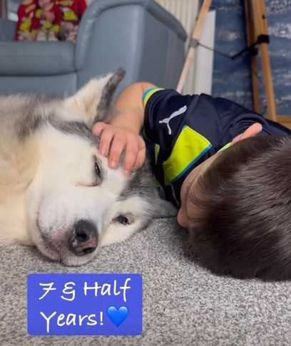 哈士奇陪伴男孩從剛出生到變成小男孩。（圖／翻攝自臉書）