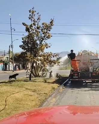 水車澆水，狗狗玩水。（圖／翻攝自IG）