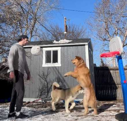 男子禍不單行影片在網上曝光。（圖／翻攝自IG）