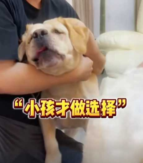 狗狗吃餃子陷入兩難。（圖／翻攝自臉書）