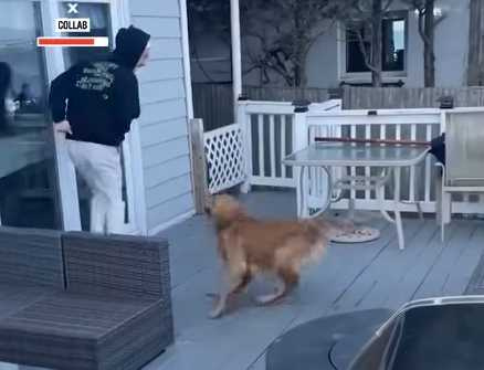 阿金喜歡到弟弟身旁甩水。（圖／翻攝自臉書）