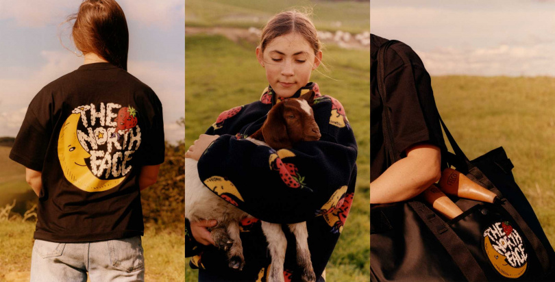 （圖／品牌提供）