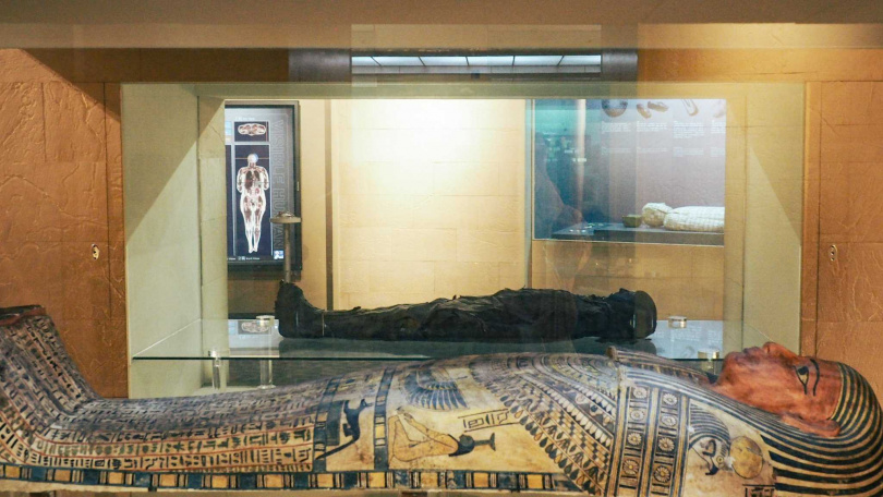 台中科博館2樓常態展區中，擁有一具在館內已展出20多年的木乃伊，是兩千多年前保存至今的「真屍」。（圖／台中國立自然科學博物館提供）