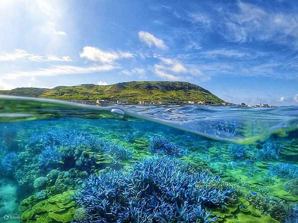 澎湖南方四島擁有豐富的海洋資源和美景，還能浮潛到海平面下欣賞宛如薰衣草森林的繽紛珊瑚礁。