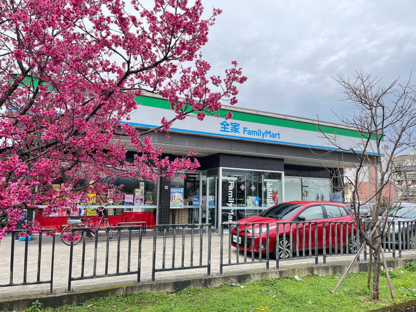 「全家」八德櫻花店外即是盛放櫻花林，賞櫻不需人擠人，即可輕鬆沉浸粉色美景。（圖／全家提供）