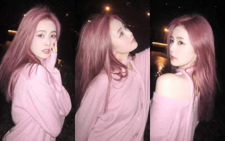 (圖/取自 白鹿 小紅書)