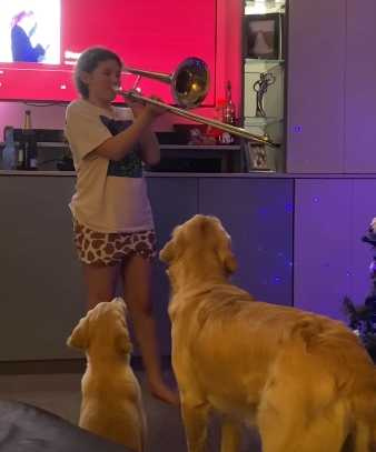 女孩的演出，連狗都聽不下去。（圖／翻攝自臉書）