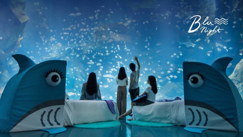 COZZI Blu和逸飯店 桃園館＆Xpark跨界合作推出「Blu Night 宿海奇遇 星級海洋系夜宿」。（圖／KKday提供）