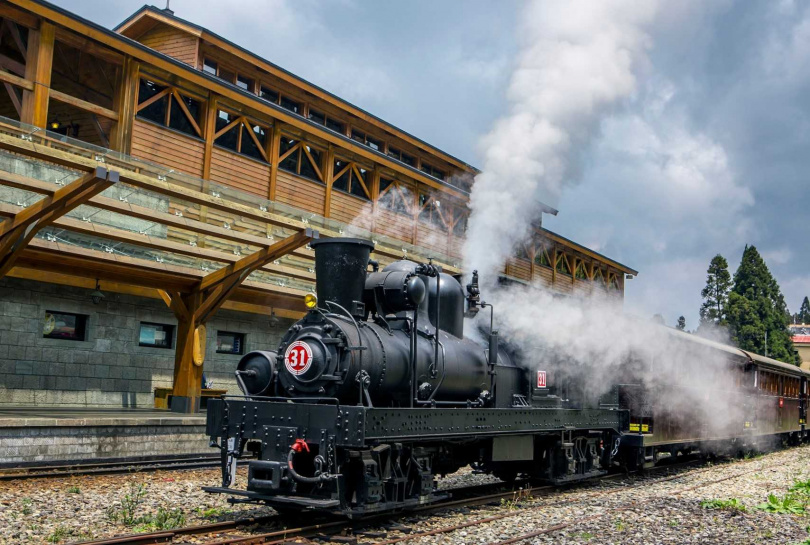雄獅推獨家「阿里山蒸汽檜木賞櫻列車」遊程，帶旅客 欣賞全台唯一高山鐵道櫻花美景。