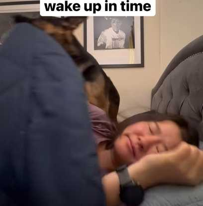 德國牧羊犬叫醒女主人。（圖／翻攝自臉書）