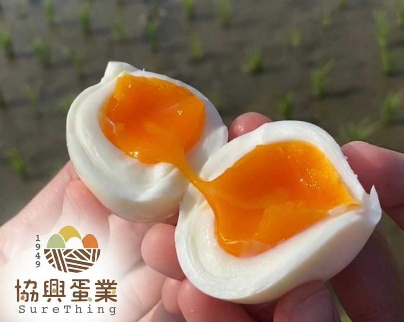 （圖／品牌提供）
