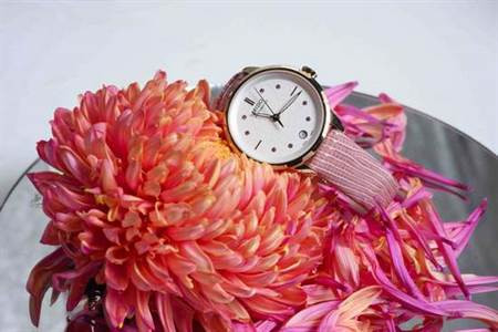 Rainflower花雨系列自動女錶，不鏽鋼鍍玫瑰金材質，定價元34,100元。