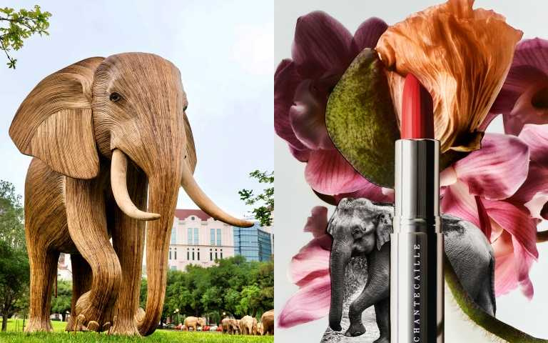 （圖／品牌提供）