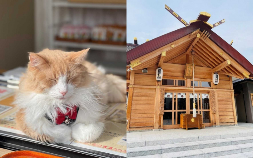 妙義神社代表的可愛貓咪。(©東京駒込妙義神社)