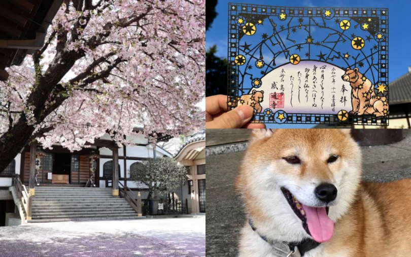 繽紛柴犬御朱印萌度滿分!彩繪玻璃風格的剪紙設計,每一枚御朱印都宛如精緻的藝術品,令人忍不住想珍藏。(©感通寺—柴犬療癒的溫馨悠閒寺院)