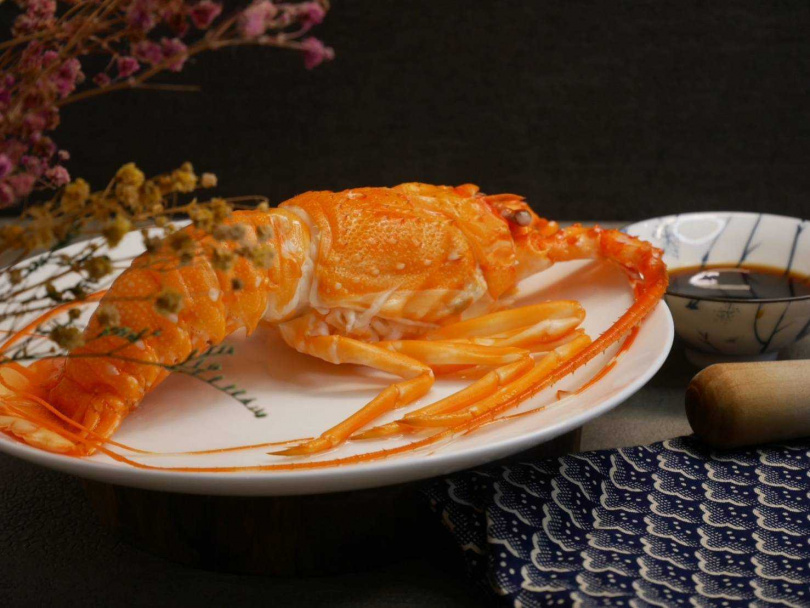 黑潮軟殼龍蝦的肉質飽滿口感鮮甜，且全身100_可食用，是許多星級餐廳的指定食材。