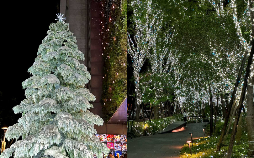 （圖／加七攝）