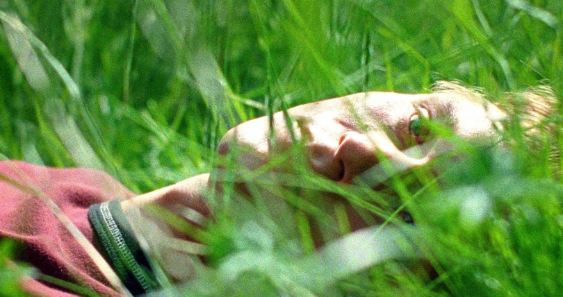 恩佐布魯姆《你是不會當樹嗎》暗戀女同學,靜靜將愛意藏在植物裡。(圖/海鵬提供)