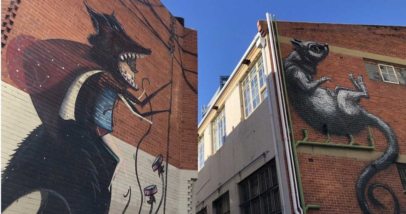 西澳伯斯塗鴉牆展現獨特街頭藝術。（圖／雄獅旅遊提供）