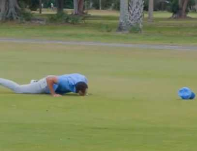 沙丘鶴跳舞求偶，男子亂入。（圖／翻攝自臉書）