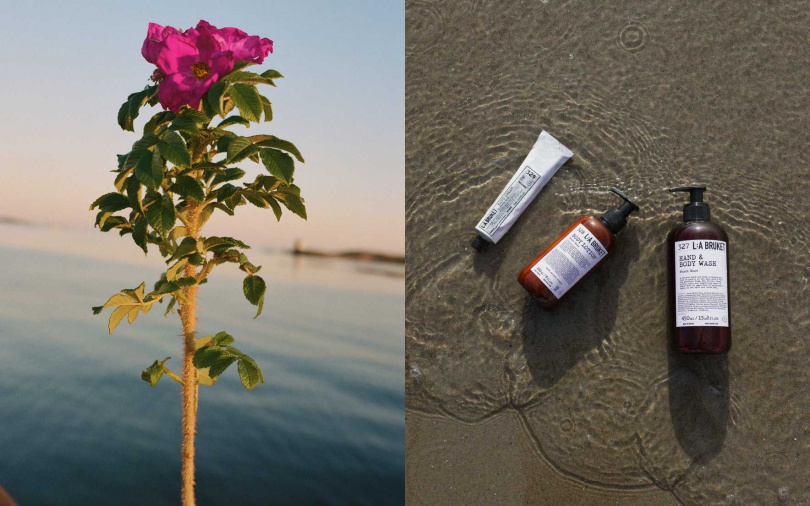 L:a Bruket海鹽玫瑰身體系列，即日起於L:a Bruket松菸旗艦店、新光三越南西專門店，以及10/10 HOPE全台門市與官網限量上市。（圖／品牌提供）