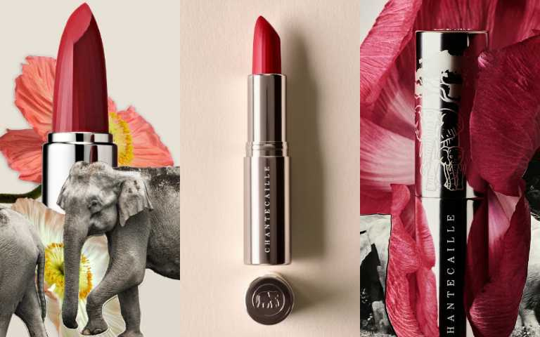花妍柔緞唇膏慈善系列將部分收益回饋給英國保育協會Elephant Family，支持亞洲象保育與棲地修復行動，邀請每位女性以美之名，為這些溫柔巨獸走出一條生路。（圖／品牌提供）