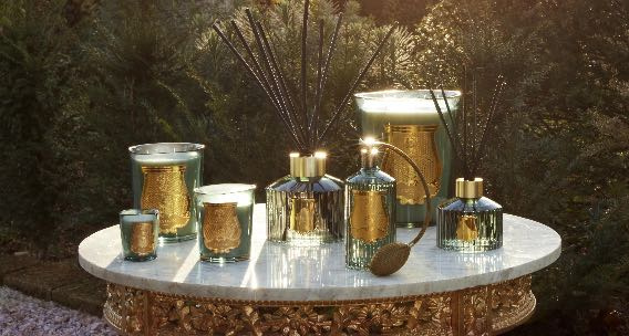 （圖／品牌提供）