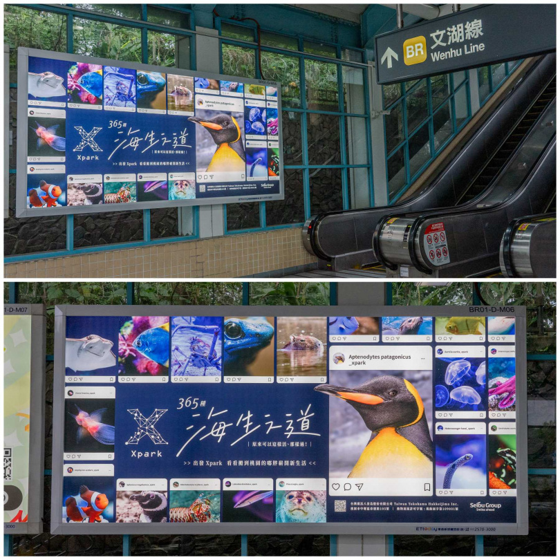 Xpark 365種海生之道_台北捷運站(動物園站)嶄新揭露