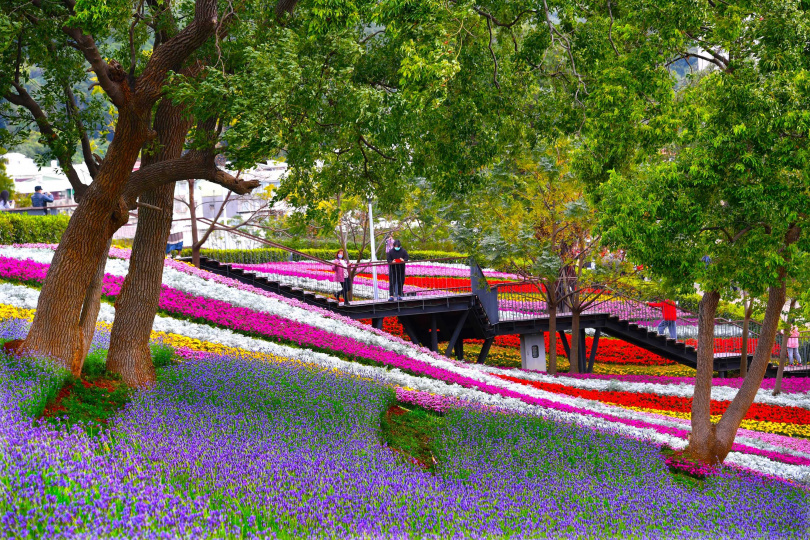 北投的「三層崎花海」擁有「台版富良野」美稱。（圖／臺北市政府觀光傳播局提供）
